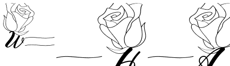 a Pair of Roses
