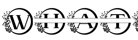 Beyond Monogram