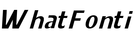 SELENA MARIN Light Italic