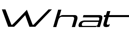 SELENA MARIN Width2 Light Italic
