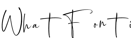 LeMoresCollectionScript-Reg