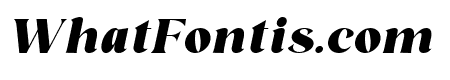 Regis Black Italic