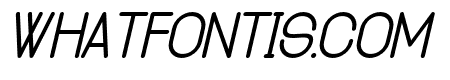Cluster italic01 Italic
