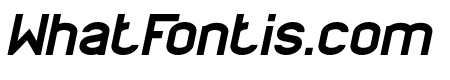PROFESSIONAL Italic