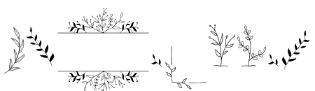 MyOlivinDecorative