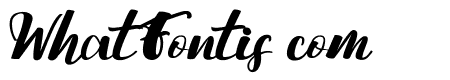 Nattizah Regular