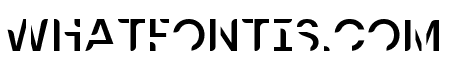 Ai Future