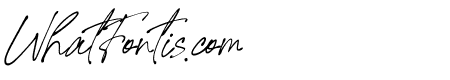 Signature United Italic