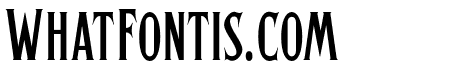 HerticalSerif