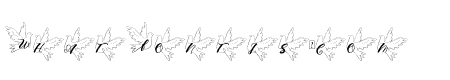 a Pair of Doves