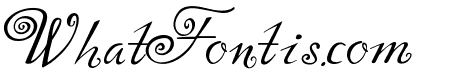 Yndina elegant font