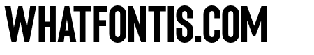 NiquittaMirzaniSans