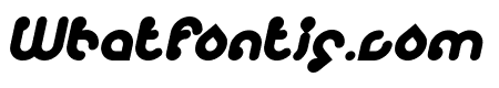 monica Bold Italic