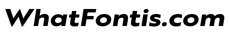 Brother XS ExtraBold Italic