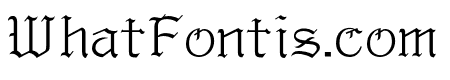 VDL GothicMincho R