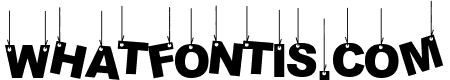 Party Letters On a Rope