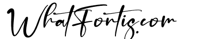 Amsterdam Bright Italic