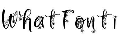 SPIDY Spider