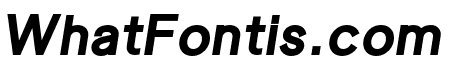 Luxora Grotesk Bold Italic