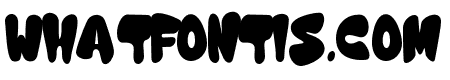 Nijikonjapan