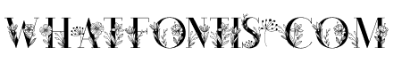 Amora Floral