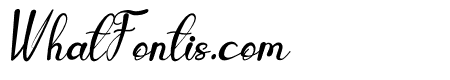 Business Italic