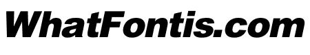 Thoren Sans Black Italic