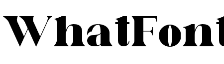 Literacy Serif Font