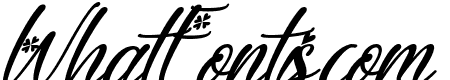 Sunny Love Italic