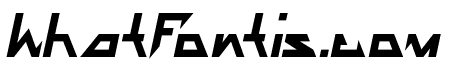 THE TRAINING ARTIST Bold Italic