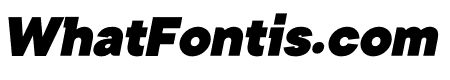 Kinetic Black Italic