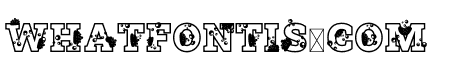 Sponge Bath Serif