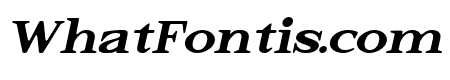 Elkoga Medium Italic