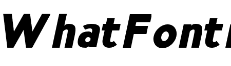 NsaiExtraBoldItalic