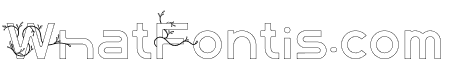 ContempoNeo Vineoutline