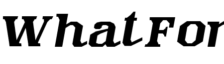 SPEED HOLICK ITALIC Italic