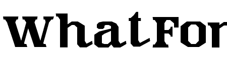 SPEED HOLICK ITALIC Regular