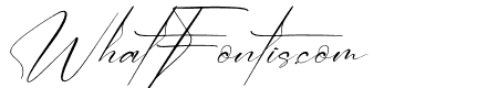 Victory Landera Italic