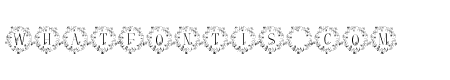 Petite Floral Monogram