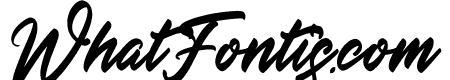 Amsterdam Lentteria Italic