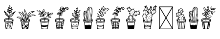 Home Plants