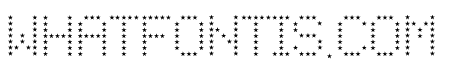 Star Mini