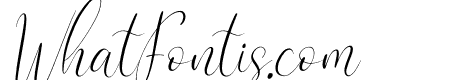 Cattya Brown Italic