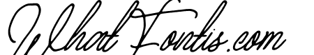 Anderson Wakler Italic