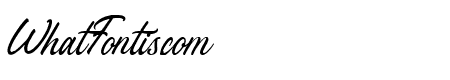 Stefina Signature Regular