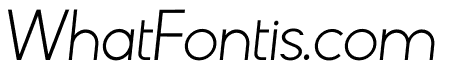 Lonely Armadillo Light Italic