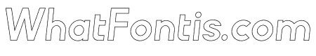 Lonely Armadillo OutlineItalic