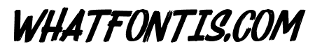 raizor-Italic