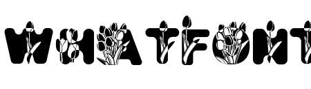 Tulip