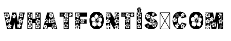 ALOHA SUMMER